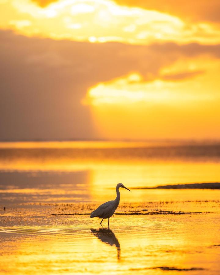 Hakuna Majiwe Beach Lodge 파제 외부 사진