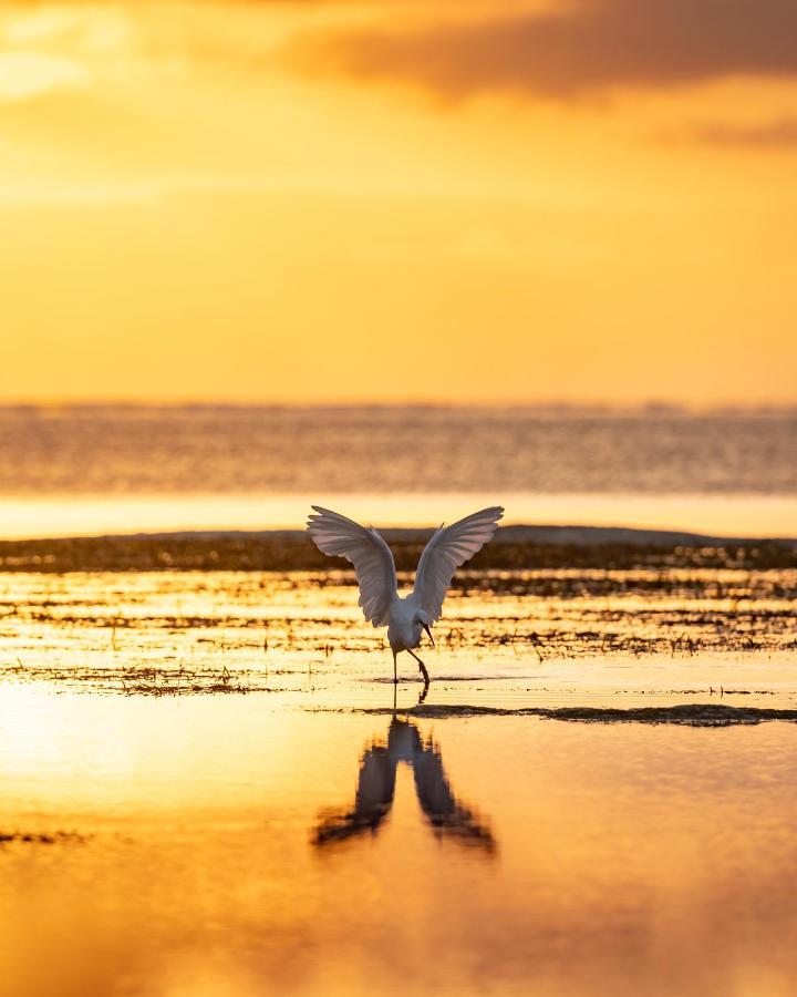 Hakuna Majiwe Beach Lodge 파제 외부 사진